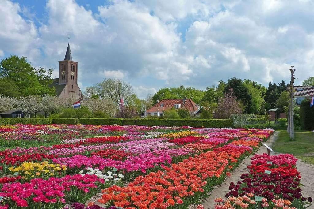 Veldt'S Huisje Limmen ภายนอก รูปภาพ